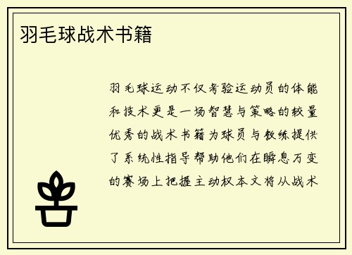 羽毛球战术书籍